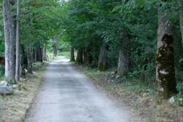 Fototapeta premium Languedoc Pirineos franceses Sur de Francia cerca de andorra - Languedoc French Pyrenees South of France near Andorra 
