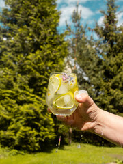 cocktail in a clear glass with lime and ice on a background of trees