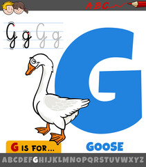 letter G from alphabet with cartoon goose animal character