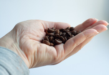 Young woman hands holding coffee beans on white background. fresh coffee beans in the palm of your hand. life style.