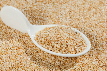 Sesamum indicum - Edible organic white sesame seeds.