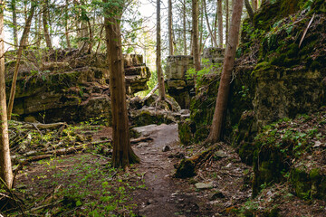 A narrow trail winds through limestone formations in the forest