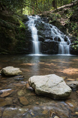Fototapeta premium Lush green forest canopy encompassing a beautiful mountain waterfall in the Appalachian mountains of East Tennessee. Twenty foot drop. Long exposure. Vertical view.