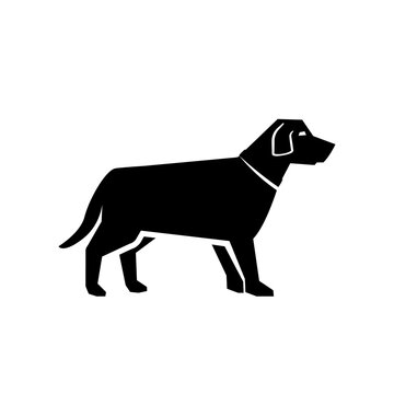 Labrador dog glyph icon. Clipart image isolated on white background