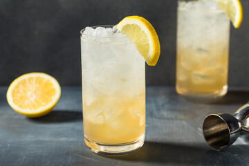 Boozy Refreshing Lemon Rum Collins - obrazy, fototapety, plakaty