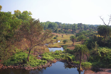 Fototapeta na wymiar A blue water stream flowing between green fields with natural surroundings