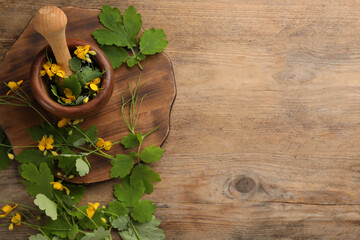 Celandine with mortar, pestle and board on wooden table, flat lay. Space for text