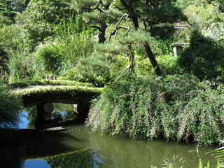 Fototapeta na wymiar 萩やススキが見られる秋の向島百花園　Mukojima-Hyakkaen Gardens