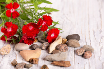 Small red carnations and natural stones on wooden background