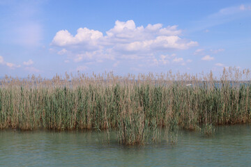 Lake Garda Sirmione locality Punta Grò Punta Grò