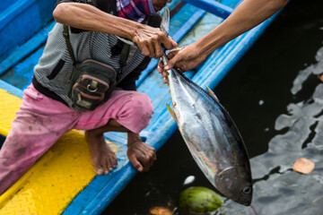 Fisherman unloading yellowfin tuna from the boat