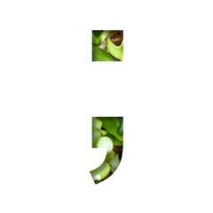 Font on micro greenery.Punctuation marks dot and comma cut out of paper on the background of...