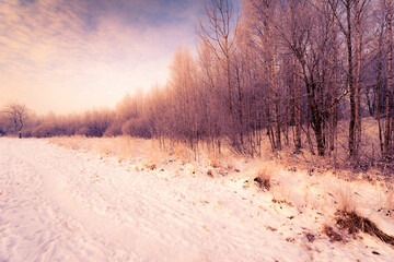 Fototapeta na wymiar Path passing through the winter forest