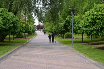 Sandomierz , Sandomierz ,wieza, architektura, zamek, budowa, stary, europa, house of god, średniowiecznej, niebo, punkt orientacyjny, gród, historia, miasteczko, antyczny, blękit, kamienie, Polska