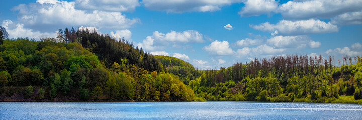 Panorama landscape of lake and forest - 435468444