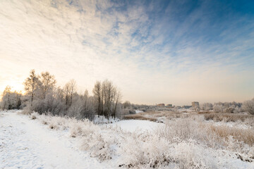 Winter morning in the city. View from the path through the woods