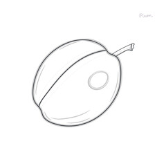 plum fruit outline vector illustration
