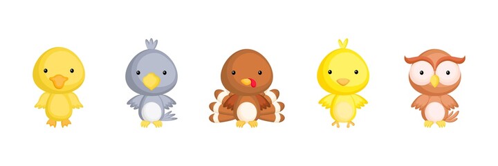 Collection of farm little birds in cartoon style. Cute animals characters for kids cards, baby shower, birthday invitation, house interior. Bright colored childish vector illustration.