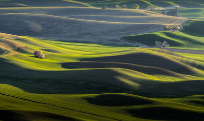 Washington Palouse. A spectacular view from Steptoe Butte State Park of the surrounding farmland and rolling hills