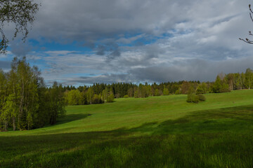 Morning near Nejdek town with fresh green pasture land after rain