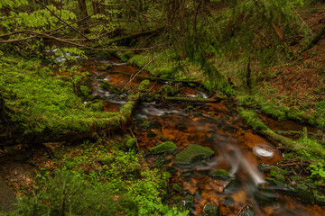 Skrivan color creek in Krusne mountains in spring morning after rain