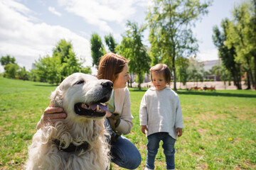 golden retriever near blurred mother looking at disabled kid