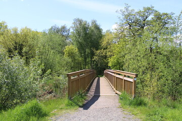 Fototapeta premium Wandern auf den Nordpfaden im Landkreis Rotenburg Wümme - Nordpfad Wümmeniederung (Hinking in northern Germany) | Wümmebrücker (bridge over the river Wümme)