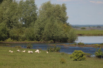 Mezinsky National Nature Park, Ukraine