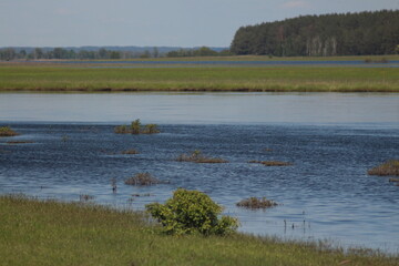 Mezinsky National Nature Park, Ukraine