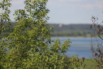 Mezinsky National Nature Park, Ukraine