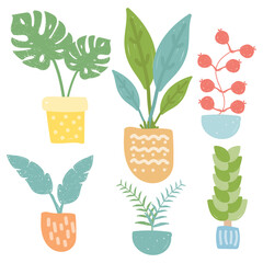 Plants in pot. Hand drawn style. Tree home decor icons. Vector illustration.