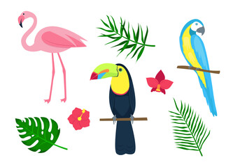 Set of tropical birds, palm leaves and flowers. Isolated on a white background.
