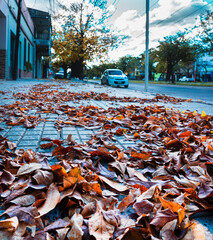 Tarde de otoño en la ciudad.