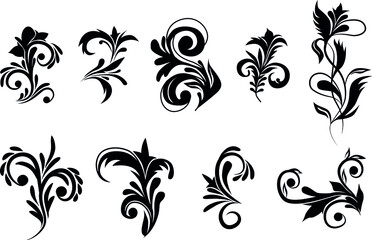 Dividers and frame border lines vector design with black rose flowers. Floral ornament and ornate pattern of rose vine swirls, blossom, buds and leaves, vintage vignette and calligraphy elements
