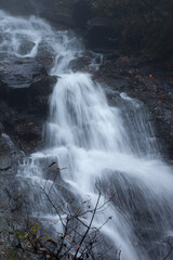 Cascading stream in nature