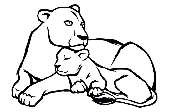 Young lioness with lion cub. Black and white vector image isolated on a white background
