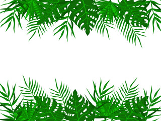 Summer banner with palm leaves.