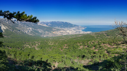 Panoramic view of Yalta city, pine woods and Black sea from the “Silver arbor” observatory, Crimea, Yalta region