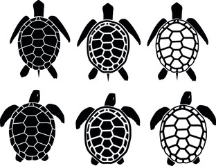 graphic sea turtle,vector illustration of sea turtle
