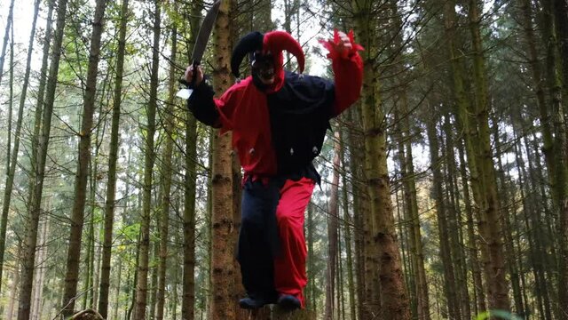 Halloween. Scary jester attack with a knife.Aggressive evil clown in the forest. Creepy clown jumping and attacking in a pine forest.