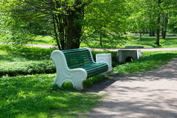 Walkway in a spring park with a wooden bench. Juicy May greens of trees and flowers of windweed on the roadside