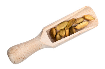 dried Cardamom pods in wood scoop cutout on white