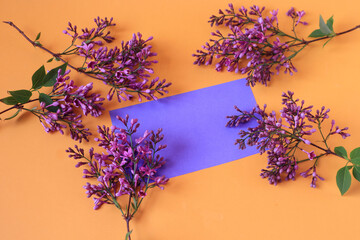 Lilac branches are laid out on a yellow background around a lilac-colored postcard, top view, space for text