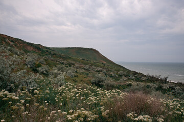 Seascape. Blue sea and clean coast. Travel and outdoor recreation.