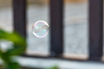 soap bubbles in the air