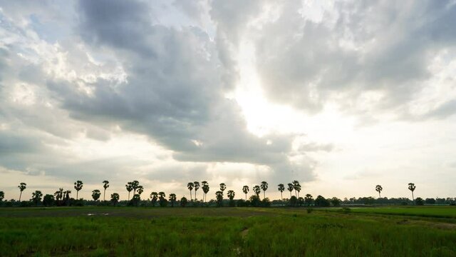Take time lapse photos of the rice fields in the evening when the sun is about to set. There will be beautiful lights in different colors, Thanyaburi District, Pathum Thani Province, Thailand 2021