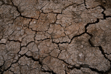 Mud background. The texture of cracks and pieces of earth. Path in the village.