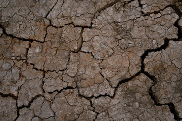 Mud background. The texture of cracks and pieces of earth. Path in the village.