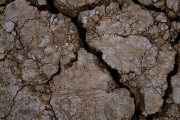 Mud background. The texture of cracks and pieces of earth. Path in the village.