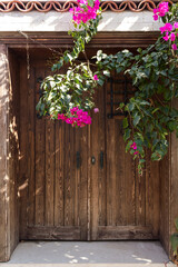 Fototapeta na wymiar Close up view of old, wooden door and bougainvillea flowers in famous, touristic Aegean town called 